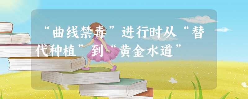 “曲线禁毒”进行时从“替代种植”到“黄金水道”