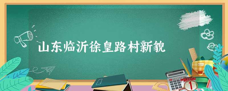 山东临沂徐皇路村新貌