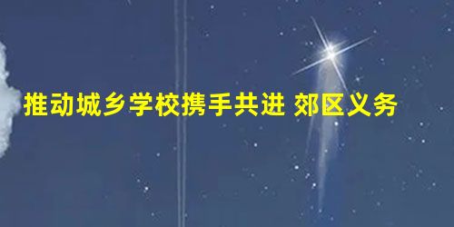 推动城乡学校携手共进 郊区义务教育学校精准委托管理