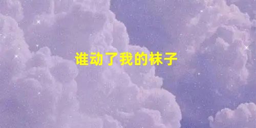 谁动了我的袜子