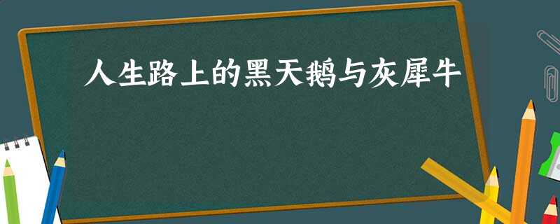 人生路上的黑天鹅与灰犀牛