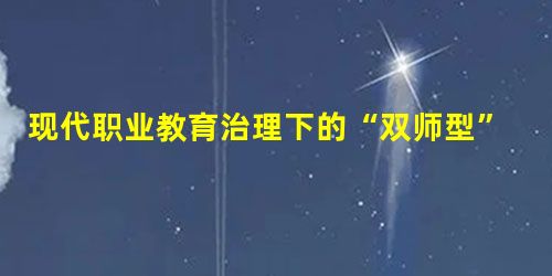 现代职业教育治理下的“双师型”教师队伍建设研究