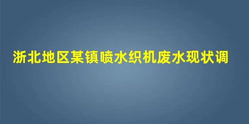 浙北地区某镇喷水织机废水现状调查