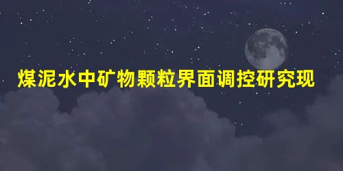 煤泥水中矿物颗粒界面调控研究现状