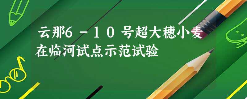 云那6-10号超大穗小麦在临河试点示范试验