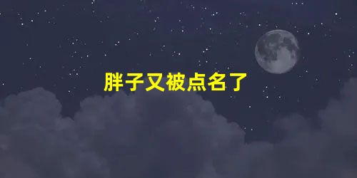 胖子又被点名了