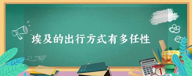 埃及的出行方式有多任性