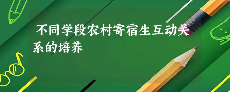 不同学段农村寄宿生互动关系的培养