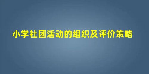 小学社团活动的组织及评价策略