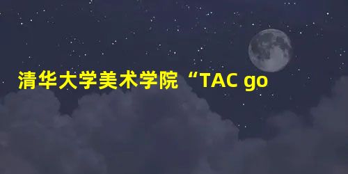 清华大学美术学院“TAC goes China”作品展