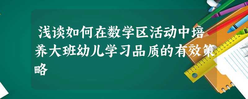 浅谈如何在数学区活动中培养大班幼儿学习品质的有效策略