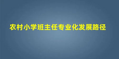 农村小学班主任专业化发展路径