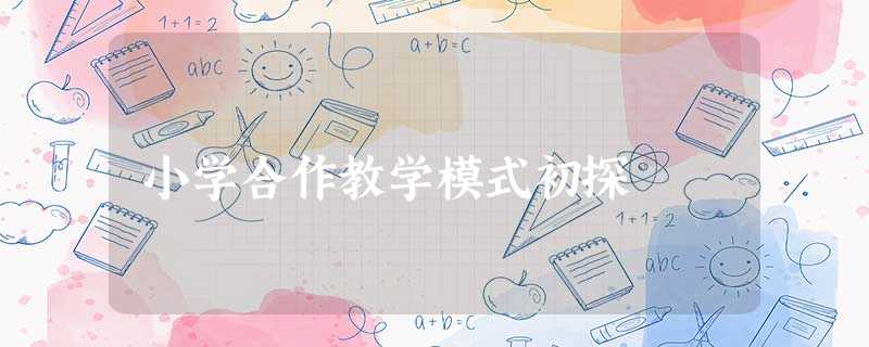 小学合作教学模式初探