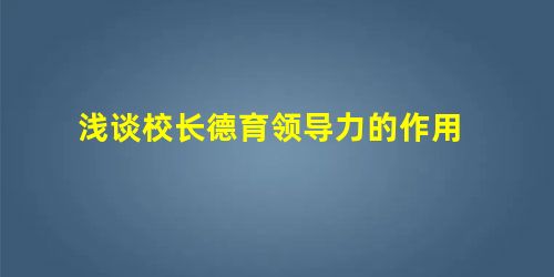 浅谈校长德育领导力的作用