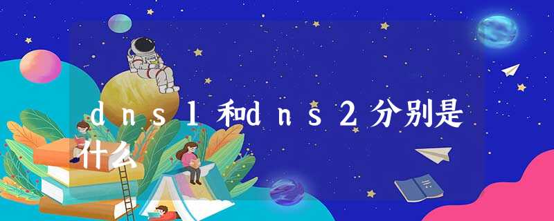 dns1和dns2分别是什么