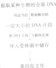 基因工程的核心步骤是 [ ]A．目的基因的获取B．基因表达载体的构建C．将目的基因导入受体细胞D．目的基因的检测与鉴定